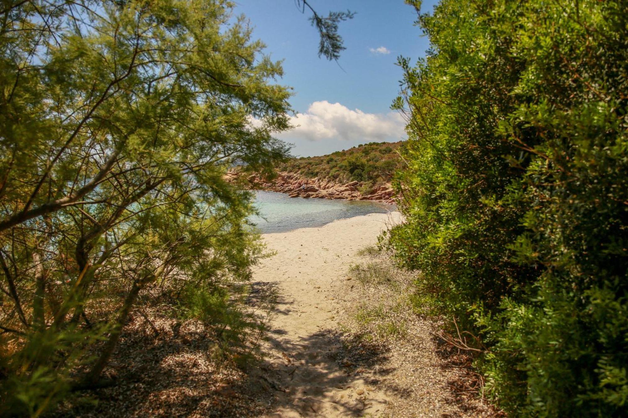 Le Berceau D'Asciaghju Palombaggia - Acces Plage Et Piscine Privee Porto-Vecchio  Exterior foto